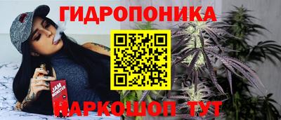 дживик Кимры