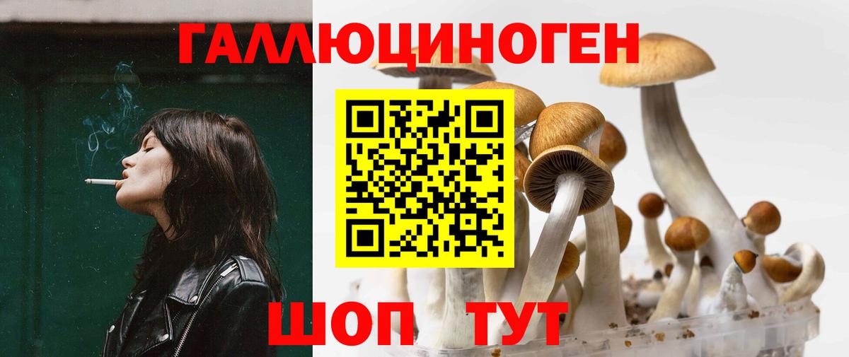 Псилоцибиновые грибы ЛСД  Псилоцибиновые грибы Psilocybine cubensis  Кашира  где продают наркотики  Вход с VPN 